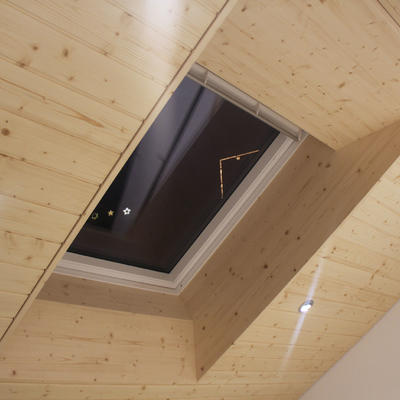 Holzdachfenster