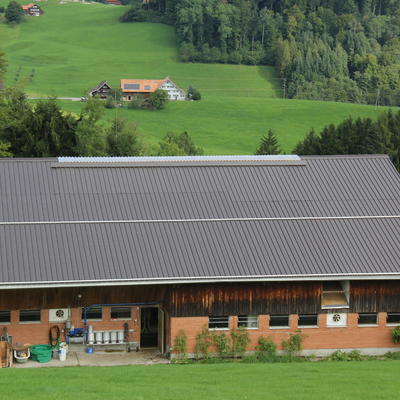 Belegen der Dachkonstruktion