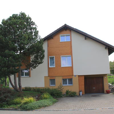 Faserzementplatten